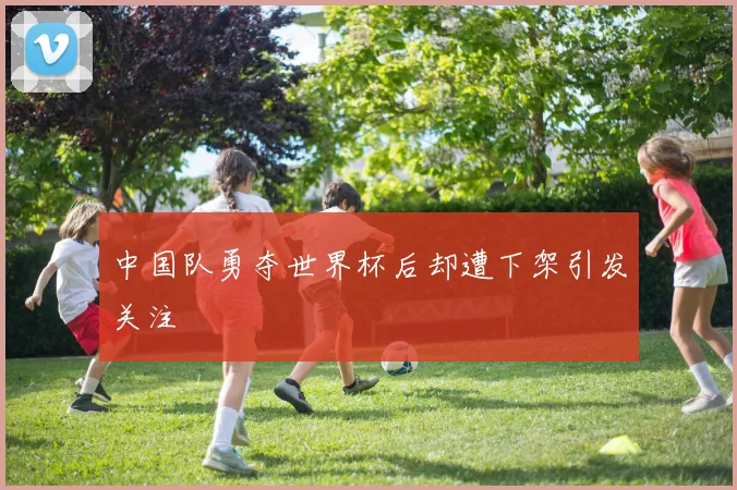 中国队勇夺世界杯后却遭下架引发关注