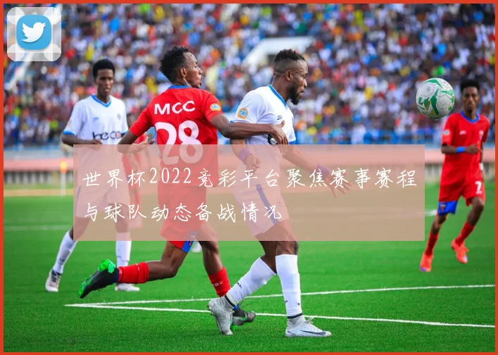 世界杯2022竞彩平台聚焦赛事赛程与球队动态备战情况