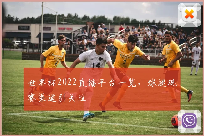 世界杯2022直播平台一览,球迷观赛渠道引关注
