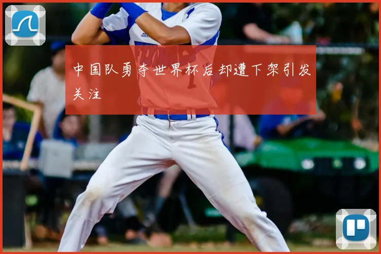 中国队勇夺世界杯后却遭下架引发关注