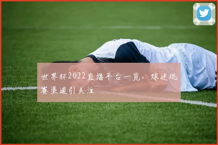 世界杯2022直播平台一览,球迷观赛渠道引关注