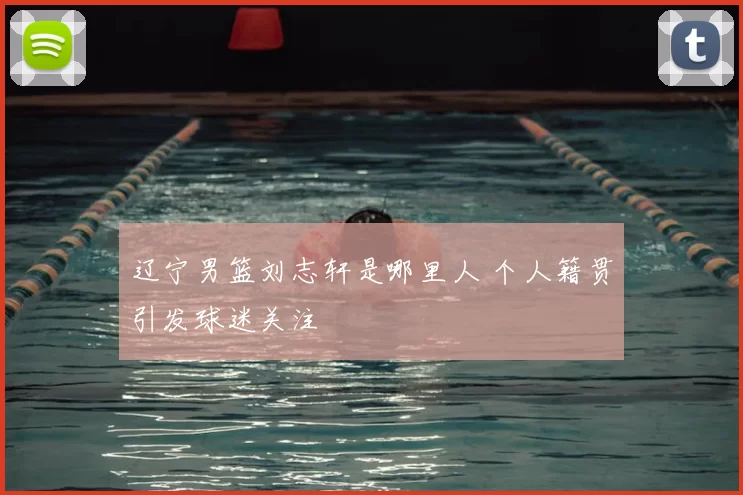 辽宁男篮刘志轩是哪里人 个人籍贯引发球迷关注