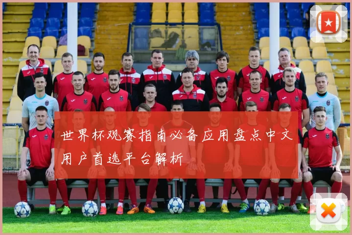 世界杯观赛指南必备应用盘点中文用户首选平台解析