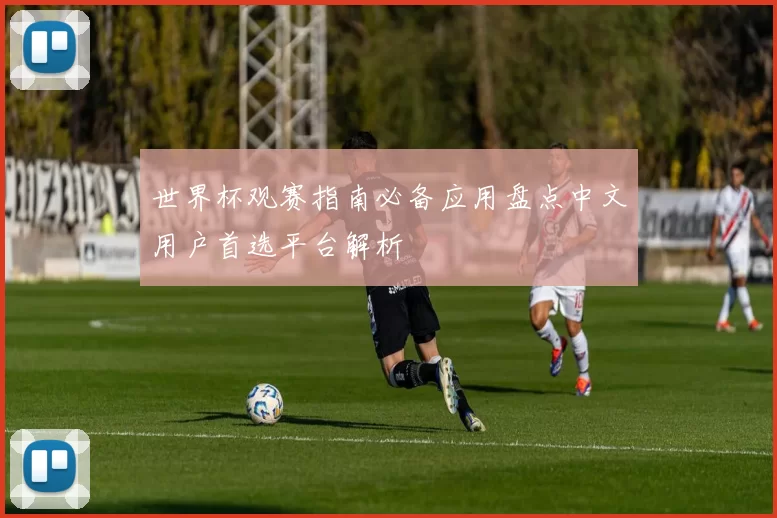 世界杯观赛指南必备应用盘点中文用户首选平台解析
